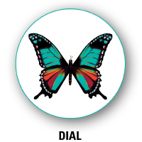 Dial